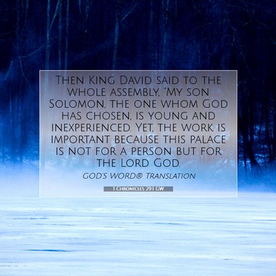 Picture 07 - 1 Chronicles 29:1 GW - Then King David said to the whole assembly, “My - Bible Verse Picture