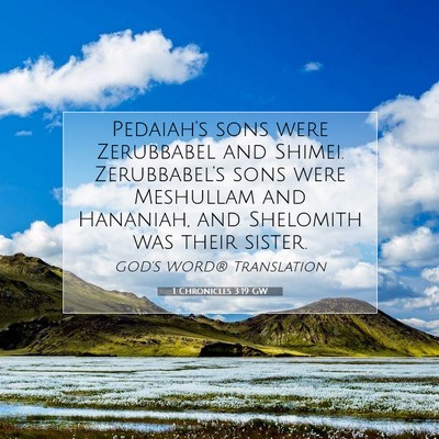 Picture 07 - 1 Chronicles 3:19 GW - Pedaiah’s sons were Zerubbabel and Shimei. - Bible Verse Picture