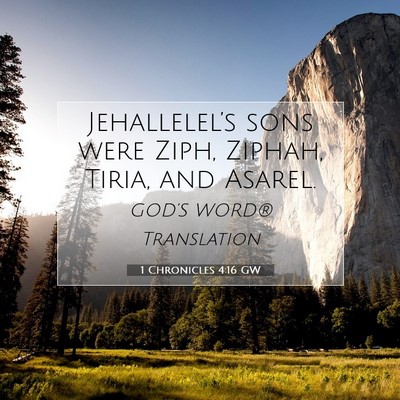 Picture 07 - 1 Chronicles 4:16 GW - Jehallelel’s sons were Ziph, Ziphah, Tiria, and - Bible Verse Picture