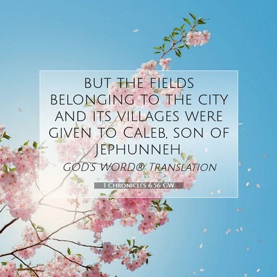 Picture 07 - 1 Chronicles 6:56 GW - but the fields belonging to the city and its - Bible Verse Picture