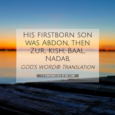 Picture 07 - 1 Chronicles 8:30 GW - His firstborn son was Abdon, then Zur, Kish, - Bible Verse Picture