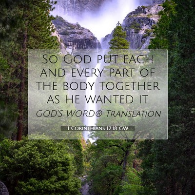 Picture 07 - 1 Corinthians 12:18 GW - So God put each and every part of the body - Bible Verse Picture