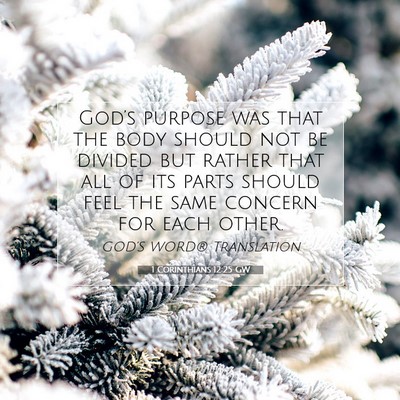 Picture 07 - 1 Corinthians 12:25 GW - God’s purpose was that the body should not be - Bible Verse Picture