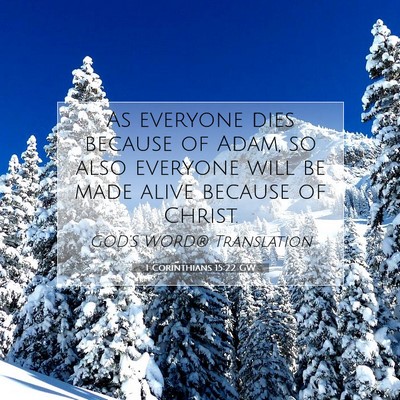 Picture 07 - 1 Corinthians 15:22 GW - As everyone dies because of Adam, so also - Bible Verse Picture