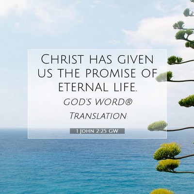Picture 07 - 1 John 2:25 GW - Christ has given us the promise of eternal - Bible Verse Picture