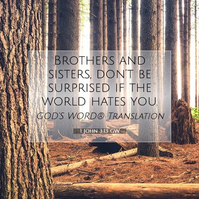 Picture 07 - 1 John 3:13 GW - Brothers and sisters, don’t be surprised if the - Bible Verse Picture