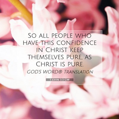 Picture 07 - 1 John 3:3 GW - So all people who have this confidence in Christ - Bible Verse Picture