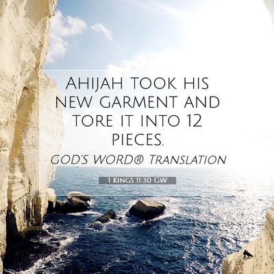 Picture 07 - 1 Kings 11:30 GW - Ahijah took his new garment and tore it into 12 - Bible Verse Picture