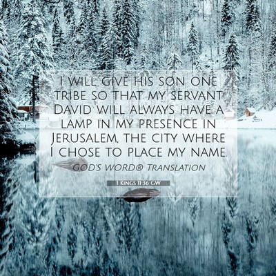 Picture 07 - 1 Kings 11:36 GW - I will give his son one tribe so that my servant - Bible Verse Picture