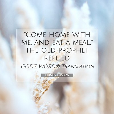 Picture 07 - 1 Kings 13:15 GW - “Come home with me, and eat a meal,” the old - Bible Verse Picture