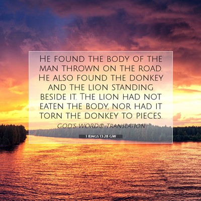 Picture 07 - 1 Kings 13:28 GW - He found the body of the man thrown on the road. - Bible Verse Picture