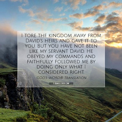 Picture 07 - 1 Kings 14:8 GW - I tore the kingdom away from David’s heirs and - Bible Verse Picture