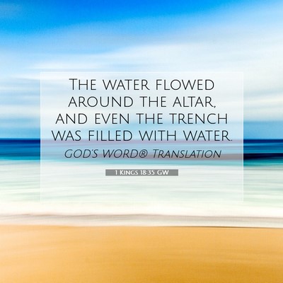 Picture 07 - 1 Kings 18:35 GW - The water flowed around the altar, and even the - Bible Verse Picture