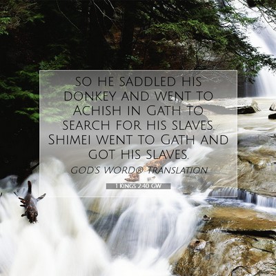 Picture 07 - 1 Kings 2:40 GW - so he saddled his donkey and went to Achish in - Bible Verse Picture
