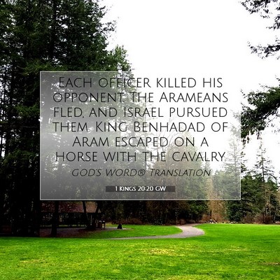 Picture 07 - 1 Kings 20:20 GW - Each officer killed his opponent. The Arameans - Bible Verse Picture