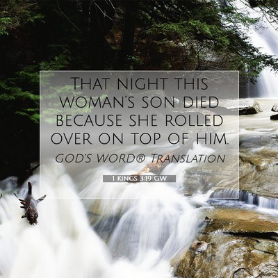 Picture 07 - 1 Kings 3:19 GW - That night this woman’s son died because she - Bible Verse Picture