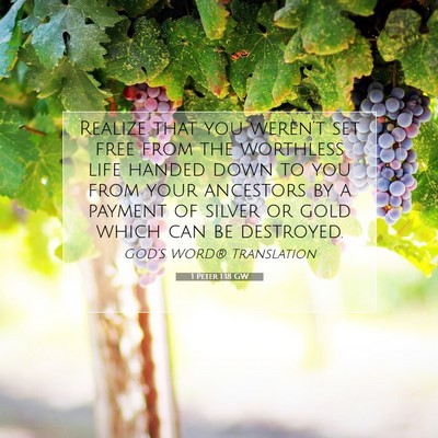 Picture 07 - 1 Peter 1:18 GW - Realize that you weren’t set free from the - Bible Verse Picture