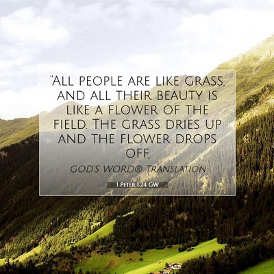 Picture 07 - 1 Peter 1:24 GW - “All people are like grass, and all their - Bible Verse Picture