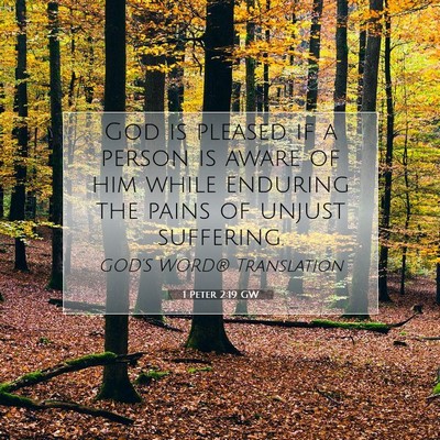 Picture 07 - 1 Peter 2:19 GW - God is pleased if a person is aware of him while - Bible Verse Picture