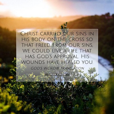Picture 07 - 1 Peter 2:24 GW - Christ carried our sins in his body on the cross - Bible Verse Picture