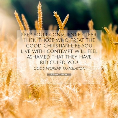 Picture 07 - 1 Peter 3:16 GW - Keep your conscience clear. Then those who treat - Bible Verse Picture
