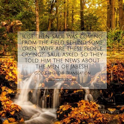 Picture 07 - 1 Samuel 11:5 GW - Just then Saul was coming from the field behind - Bible Verse Picture