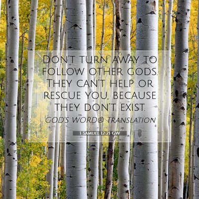 Picture 07 - 1 Samuel 12:21 GW - Don’t turn away to follow other gods. They - Bible Verse Picture