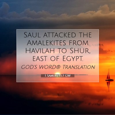 Picture 07 - 1 Samuel 15:7 GW - Saul attacked the Amalekites from Havilah to - Bible Verse Picture