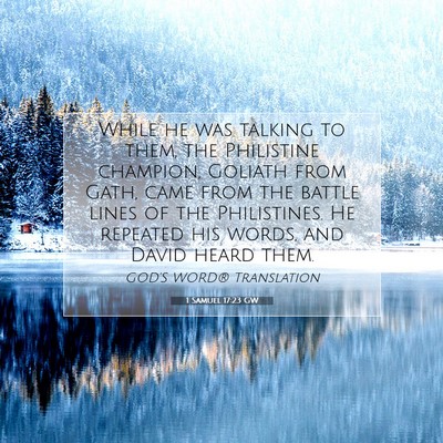 Picture 07 - 1 Samuel 17:23 GW - While he was talking to them, the Philistine - Bible Verse Picture