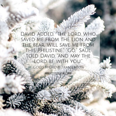 Picture 07 - 1 Samuel 17:37 GW - David added, “The Lord, who saved me from the - Bible Verse Picture