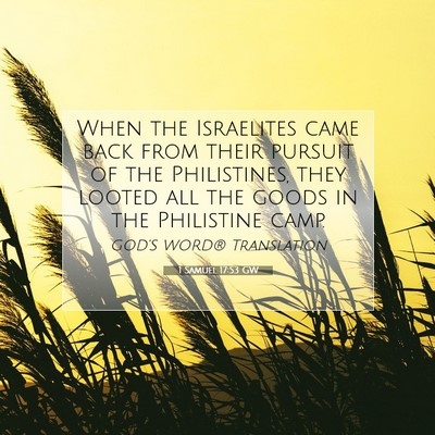 Picture 07 - 1 Samuel 17:53 GW - When the Israelites came back from their pursuit - Bible Verse Picture