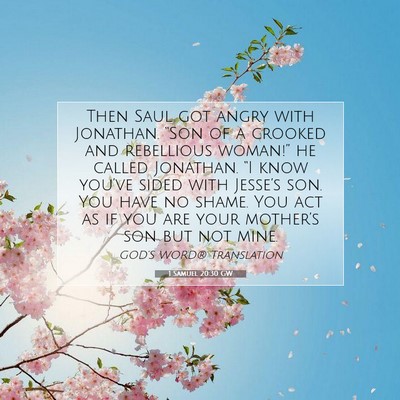 Picture 07 - 1 Samuel 20:30 GW - Then Saul got angry with Jonathan. “Son of a - Bible Verse Picture