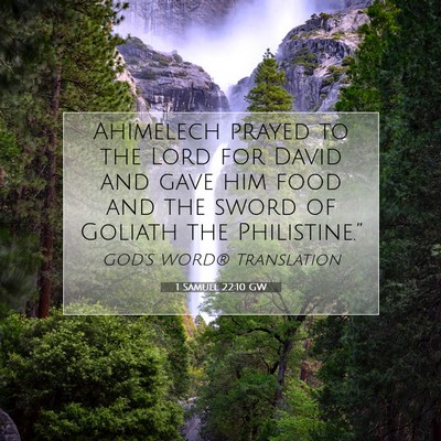 Picture 07 - 1 Samuel 22:10 GW - Ahimelech prayed to the Lord for David and gave - Bible Verse Picture