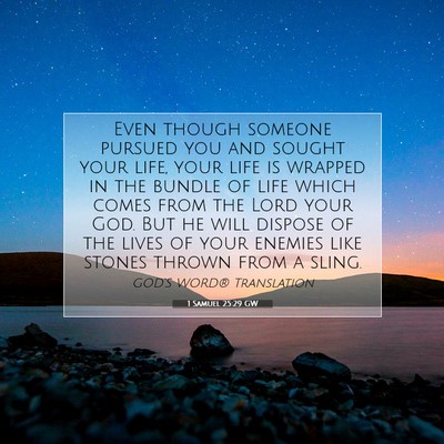 Picture 07 - 1 Samuel 25:29 GW - Even though someone pursued you and sought your - Bible Verse Picture
