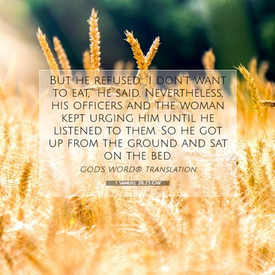 Picture 07 - 1 Samuel 28:23 GW - But he refused. “I don’t want to eat,” he - Bible Verse Picture