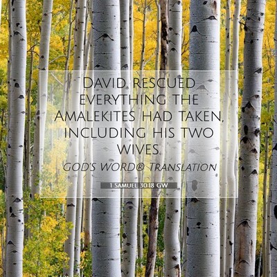 Picture 07 - 1 Samuel 30:18 GW - David rescued everything the Amalekites had - Bible Verse Picture