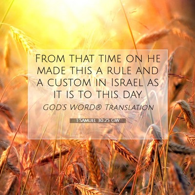 Picture 07 - 1 Samuel 30:25 GW - From that time on he made this a rule and a - Bible Verse Picture