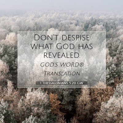 Picture 07 - 1 Thessalonians 5:20 GW - Don’t despise what God has - Bible Verse Picture