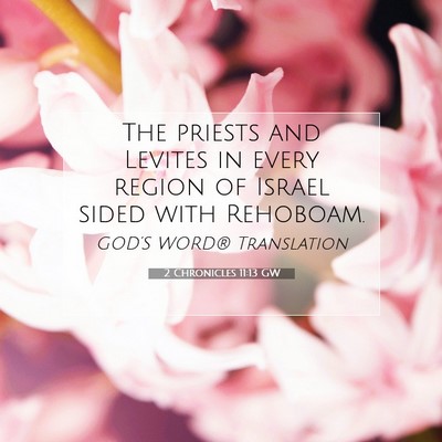 Picture 07 - 2 Chronicles 11:13 GW - The priests and Levites in every region of Israel - Bible Verse Picture