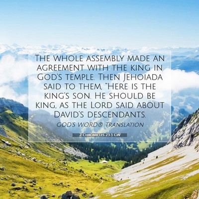 Picture 07 - 2 Chronicles 23:3 GW - The whole assembly made an agreement with the - Bible Verse Picture