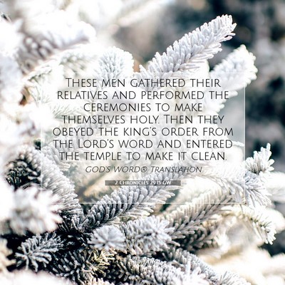 Picture 07 - 2 Chronicles 29:15 GW - These men gathered their relatives and performed - Bible Verse Picture