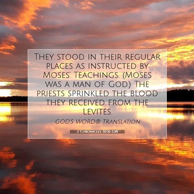 Picture 07 - 2 Chronicles 30:16 GW - They stood in their regular places as instructed - Bible Verse Picture