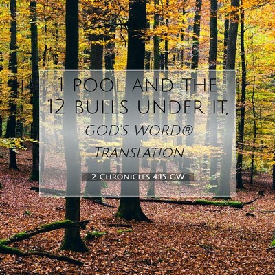 Picture 07 - 2 Chronicles 4:15 GW - 1 pool and the 12 bulls under - Bible Verse Picture