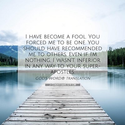 Picture 07 - 2 Corinthians 12:11 GW - I have become a fool. You forced me to be one. - Bible Verse Picture