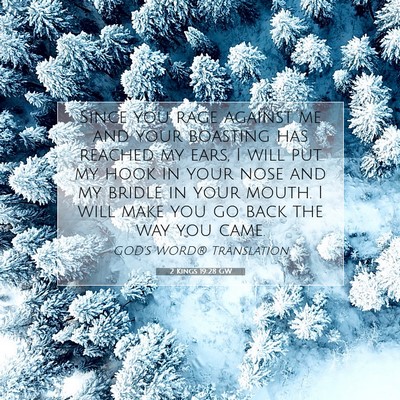 Picture 07 - 2 Kings 19:28 GW - Since you rage against me and your boasting has - Bible Verse Picture