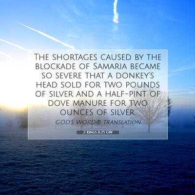 Picture 07 - 2 Kings 6:25 GW - The shortages caused by the blockade of Samaria - Bible Verse Picture