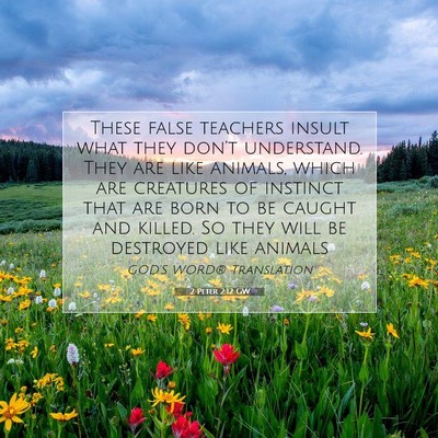 Picture 07 - 2 Peter 2:12 GW - These false teachers insult what they don’t - Bible Verse Picture