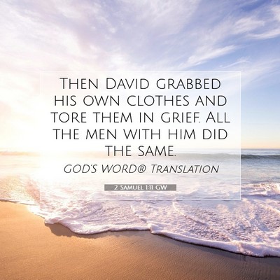 Picture 07 - 2 Samuel 1:11 GW - Then David grabbed his own clothes and tore them - Bible Verse Picture