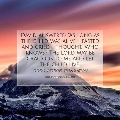 Picture 07 - 2 Samuel 12:22 GW - David answered, “As long as the child was - Bible Verse Picture