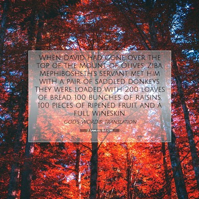 Picture 07 - 2 Samuel 16:1 GW - When David had gone over the top of the Mount of - Bible Verse Picture